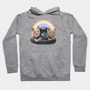 Chihuahua Trio Hoodie